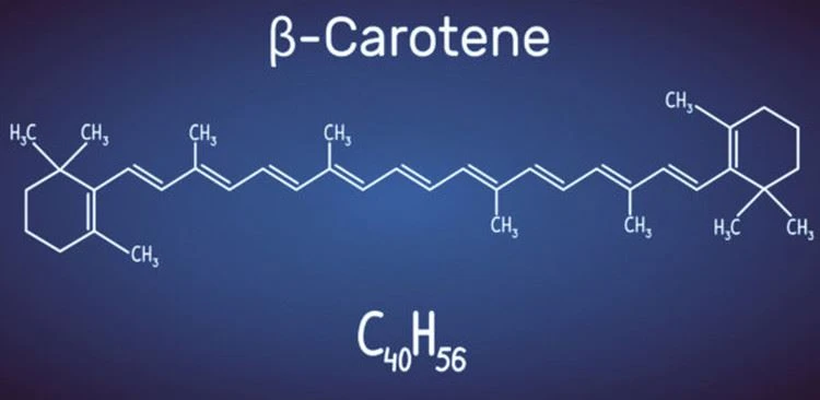 Beta Carotene Molecular