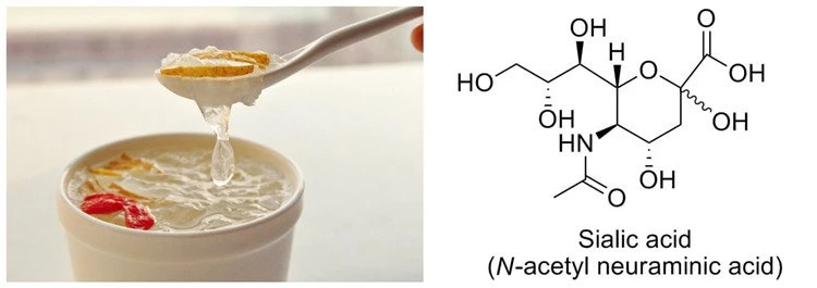 Bird's Nest and Sialic Acid Molecular Structure
