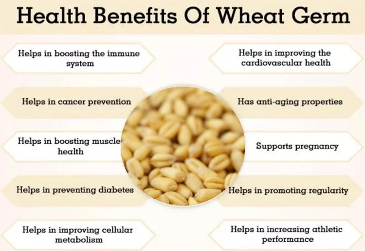 Health Benefits of Wheat Germ
