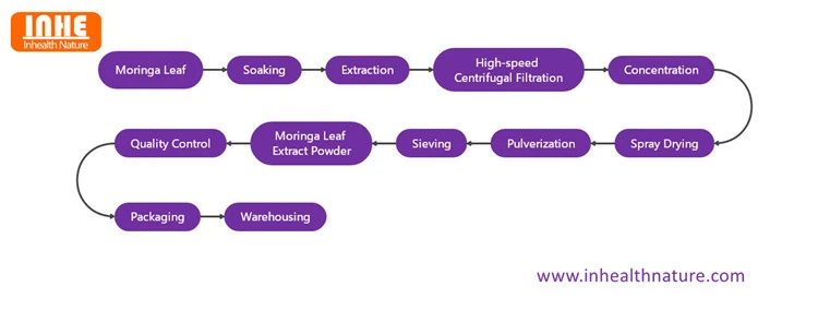Moringa Leaf Extract Powder Flow Chart