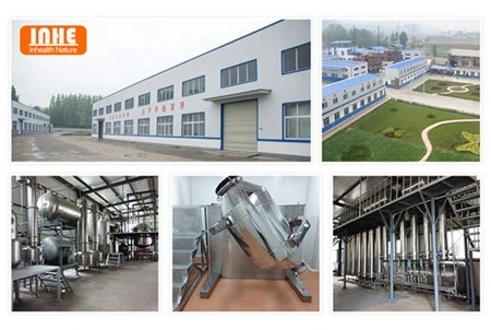 Our Factory
