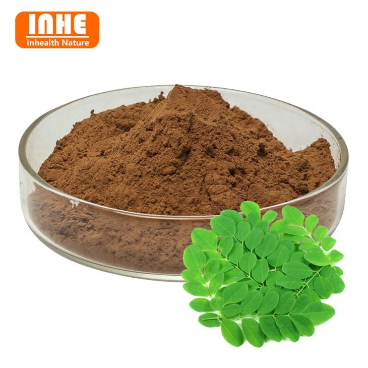 Moringa Yaprağı Ekstresi Tozu