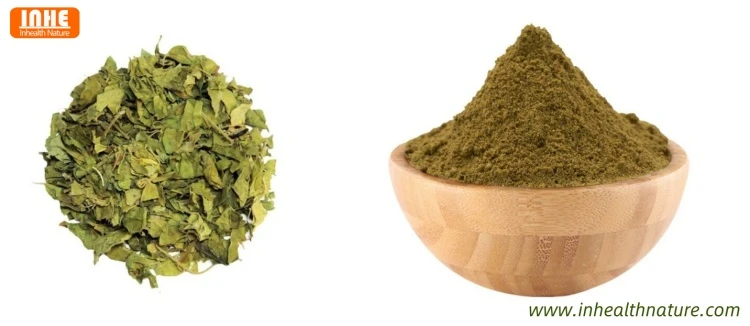 Gymnema Sylvestre Retz Schultes Dried Leaves and Gymnema Extract Gymnema Sylvestre Retz Schultes Dried Leaves and Gymnema Extract
