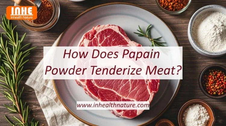 How Does Papain Powder Tenderize Meat How Does Papain Powder Tenderize Meat