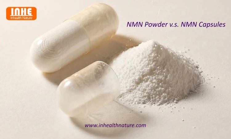 NMN Powder vs NMN Capsules