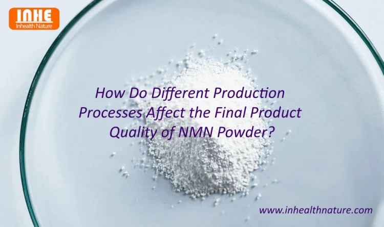 How Do Different Production Processes Affect the Final Product Quality of NMN Powder