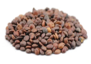 2-Wild Jujube Seeds