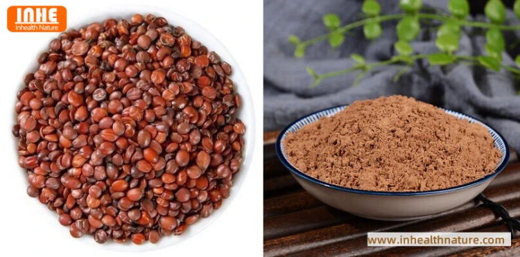 Wild Jujube Seeds and Wild Jujube Powder