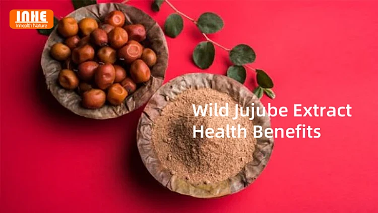 Wild Jujube Extract Health Benefits