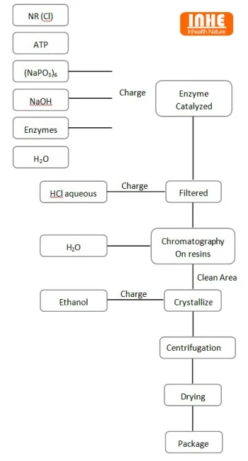 Bulk NMN Powder Flow Chart